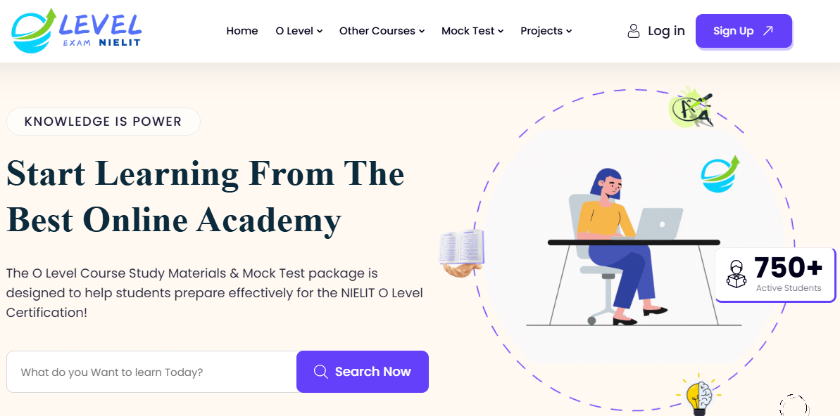 Webskynet IT Solution